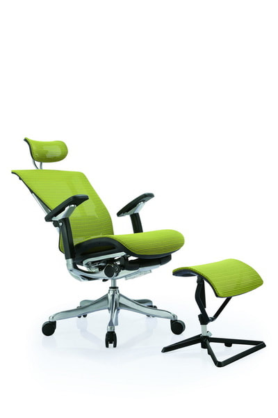 Manager Ergonomic Mesh chair aluminum frame with leg support