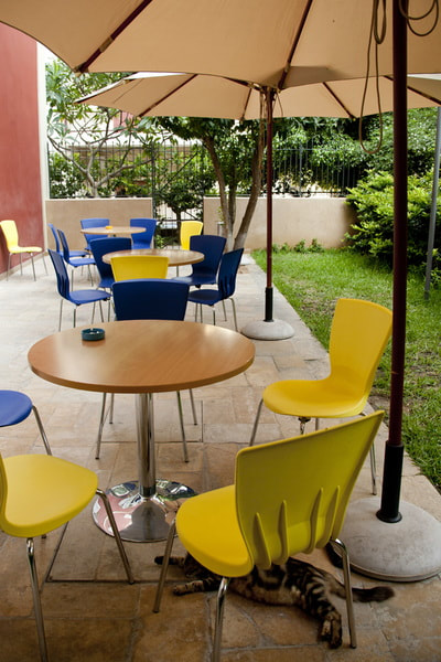 Cafeteria chairs and tables in Brazilian cultural center